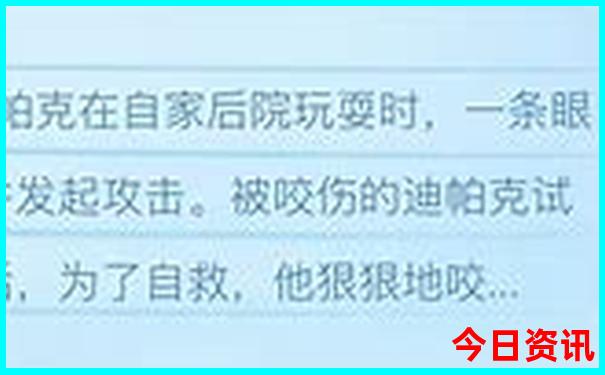 暑假去哪里旅游?